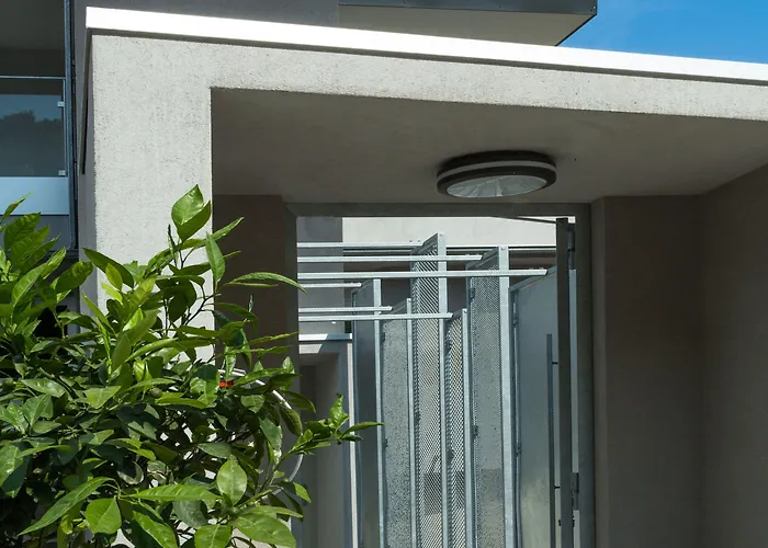 Alcyon Porto-Vecchio (Corsica)