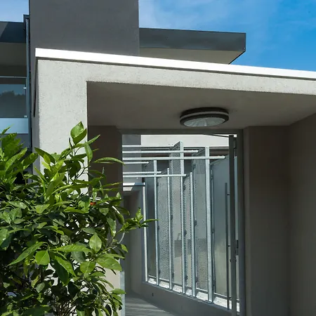 Alcyon 포르토베쉬오